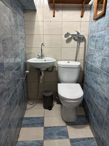 a bathroom with a toilet and a sink at Alfeios cozy stays - Rustic 