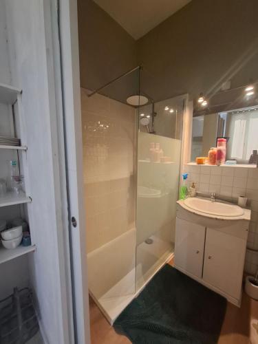 a bathroom with a shower and a sink at Studio en toute simplicité plein centre in Libourne