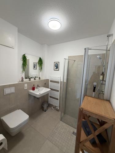 a bathroom with a shower and a toilet and a sink at Wohnglück Leer City Nr 3 in Leer