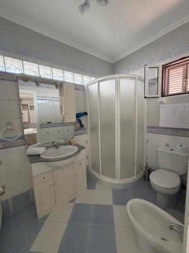 a bathroom with a shower and a toilet and a sink at Apartamento turístico ilusiones 5 in Cazalla de la Sierra