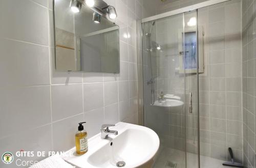 a bathroom with a sink and a shower with a mirror at Mezzana in Taglio-Isolaccio