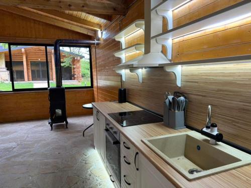 a kitchen with a sink and a stove at Buriani-resort in Tsʼkhvarichamia