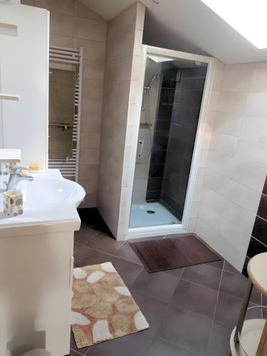 a bathroom with a shower and a sink at Gîte Bourgeois in Isches