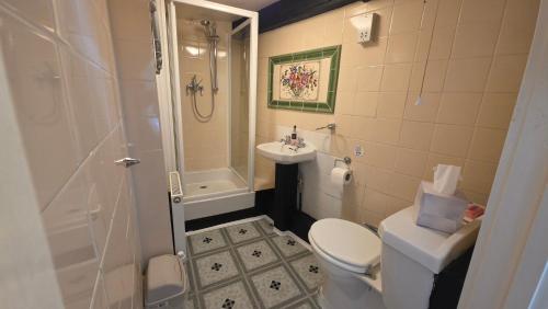 a bathroom with a toilet and a sink and a shower at Ye Olde Red Horse in Evesham