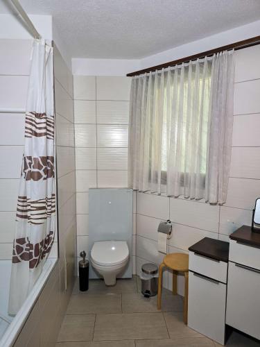 a white bathroom with a toilet and a window at Onyx - 1 5 Zimmer in Muralto
