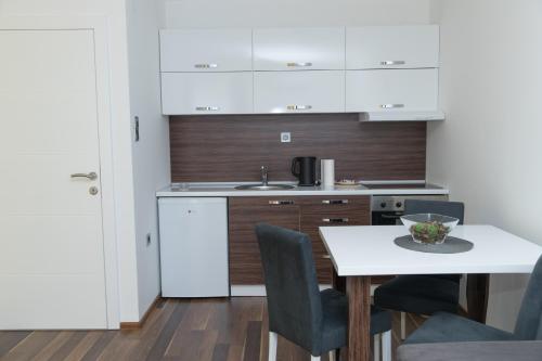 Kuchyň nebo kuchyňský kout v ubytování Garni Hotel Niš City View