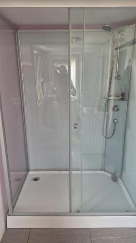 a shower with a glass door in a bathroom at Am Fuße des Zoller in Bisingen
