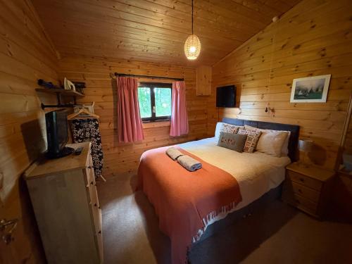 a bedroom with a bed in a log cabin at Brynmeini Lake Lodge in Glogue Station