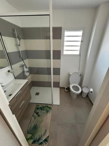 a bathroom with a toilet and a sink at La Kaz Saint-Annaise in Sainte-Anne