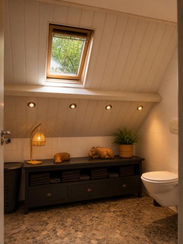 a bathroom with a toilet and a window at Woonboerderij Markelo in Markelo