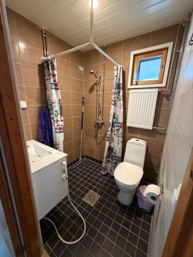 a small bathroom with a toilet and a sink at Country House Marja 