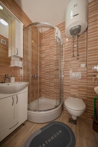 a bathroom with a shower and a toilet and a sink at Andrej Apartmani Rafailovici in Rafailovici