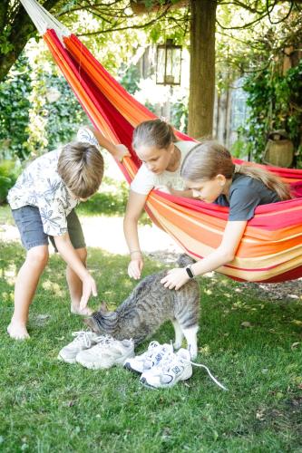 two children playing with a cat in a hammock at Landhaus Hüttblek in Hüttblek