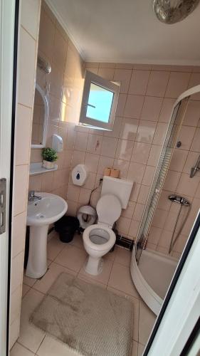 a bathroom with a toilet and a sink and a shower at Casa de vacanta Bulz in Bulz