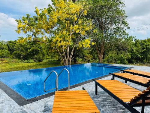 a swimming pool with two wooden benches next to it at Sungreen Cottage Sigiriya in Sigiriya