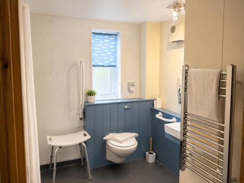 a blue bathroom with a toilet and a window at Howgills Apartments in Sedbergh