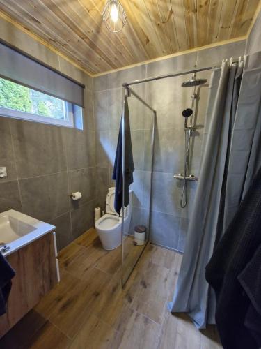 a bathroom with a shower and a toilet and a sink at Sosnowa Polana Rusinowo in Rusinowo