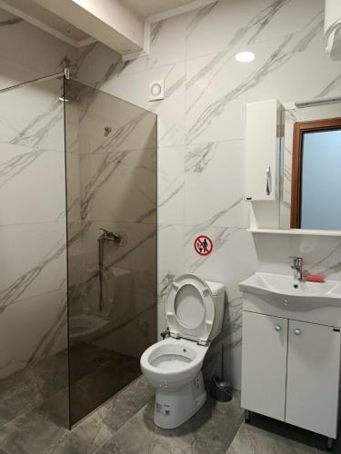 a bathroom with a toilet and a shower and a sink at Vesa&Veton in Donji Štoj
