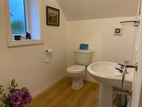 a bathroom with a toilet and a sink at Perfect for two close to Kenmare in Kenmare