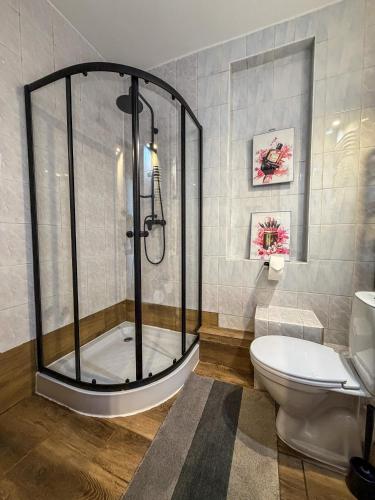 a bathroom with a shower and a toilet at Romeo&Julia in Toruń