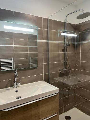 a bathroom with a sink and a shower at Manade Cavallini - Mas de Pioch in Saintes-Maries-de-la-Mer