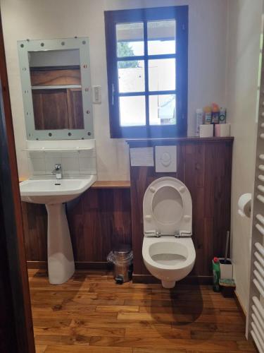 a bathroom with a toilet and a sink and a mirror at Beau chalet en vallée d'Ossau in Laruns