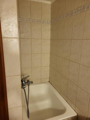 Aster Apartment