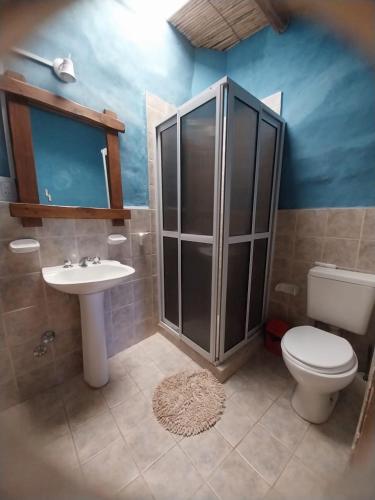 a bathroom with a shower and a toilet and a sink at Karallantay in Tilcara