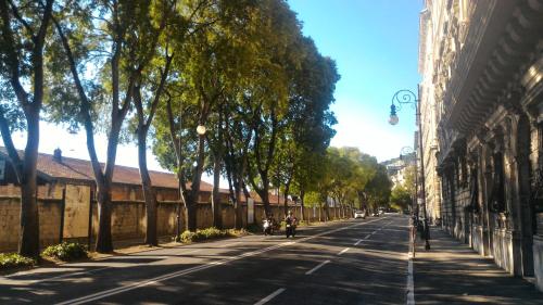 an empty street with trees on the side of a building at Golden Rooms Bed & Breakfast in Trieste