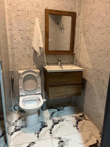 a bathroom with a toilet and a sink at Afrilodge Liberia in Monrovia