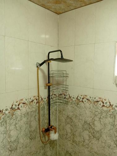 a shower in a bathroom with a shower head at Guest house TASO in K'veda Gordi