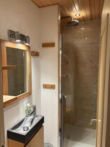 Ski-in Ski-out Apartment in Meribel Mottaret, Trois Vallees