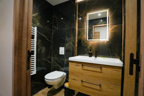 a bathroom with a toilet and a sink and a mirror at T2 Les Suites du Roubion in Montélimar