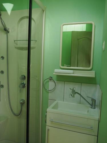 a bathroom with a sink and a mirror and a shower at Le brin d'air Mayennais in Saint-Julien-du-Terroux