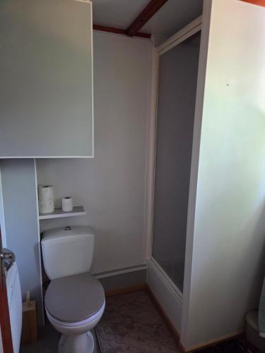 a bathroom with a white toilet in a room at Chalet tout confort in Rivières