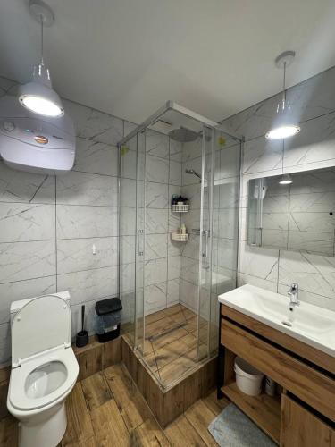 a bathroom with a shower and a toilet and a sink at Хрю-хрю in Brovary