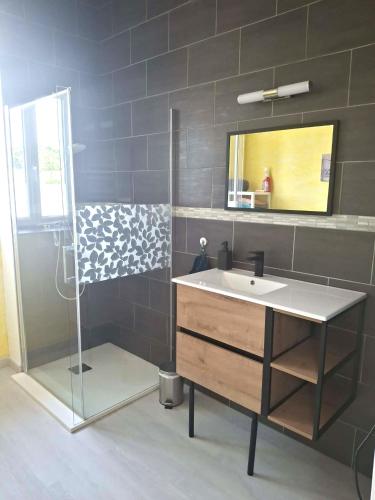 a bathroom with a sink and a mirror and a shower at Le Galaveyson in Saint-Clair-sur-Galaure