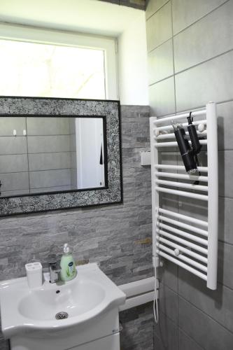 a bathroom with a sink and a mirror at Ana apartmani in Pačir
