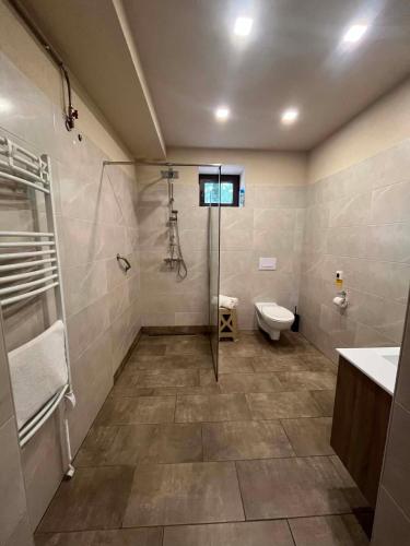 a bathroom with a shower and a toilet and a sink at Seregély Vendégház in Kunfehértó