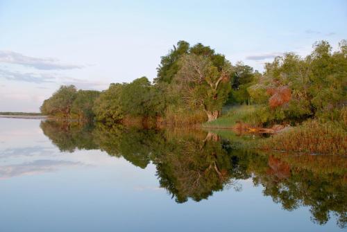 a reflection of trees in the water on a lake at Caprivi Mutoya Lodge and Campsite in Katima Mulilo
