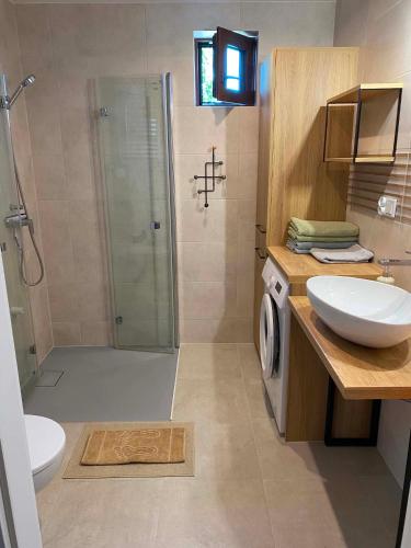 a bathroom with a shower and a sink and a toilet at Domowe Zacisze in Augustów