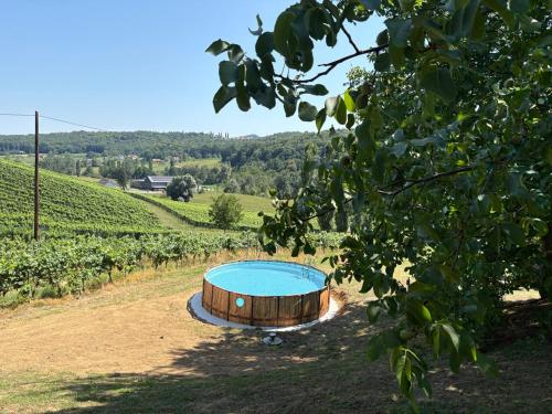 Weingut - Ferienhaus Sonja Rohrbacher
