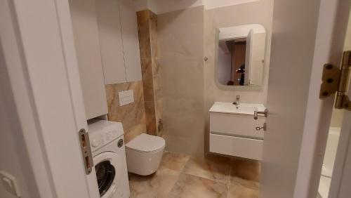 a bathroom with a washing machine and a sink at 85th Pool View 2 Rooms Apartament in Popeşti-Leordeni