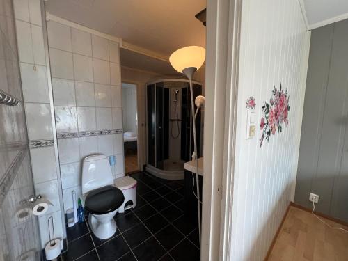 Vonios kambarys apgyvendinimo įstaigoje Guest House -Apartment