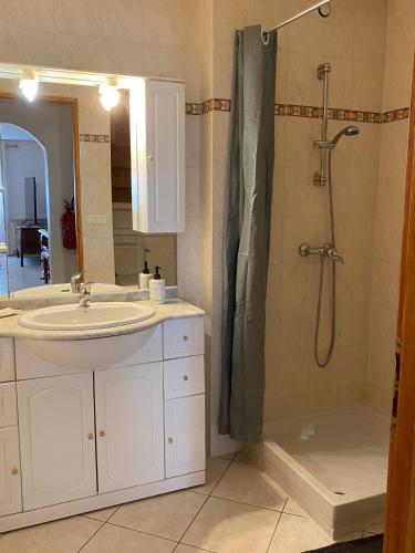 a bathroom with a sink and a shower at La Bastide Rempelin in Aix-en-Provence