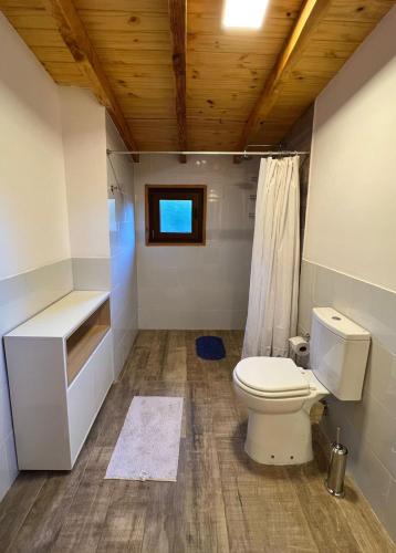 a bathroom with a toilet and a window at Green House B & B in Villa La Angostura