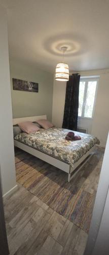 a bedroom with a bed and a chandelier at Maison de ville in Roquemaure
