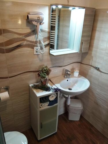 a bathroom with a sink and a mirror and a toilet at Tulipán Apartmanház in Bük