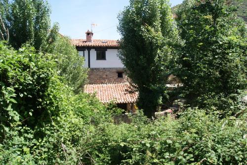 Taman di luar Casa Tio Conejo
