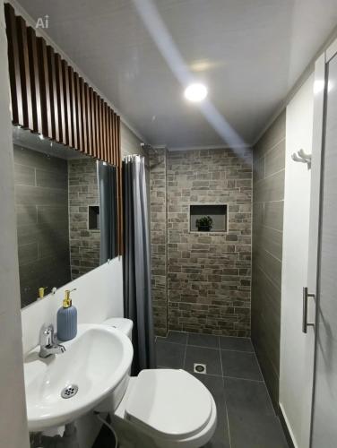 a bathroom with a toilet and a sink and a shower at Cabaña aldea primaveral in Doradal